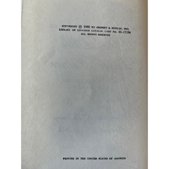 The Merry Adventures of Robin Hood  & The Little Lame Prince - 1965 - Picture 6 of 8